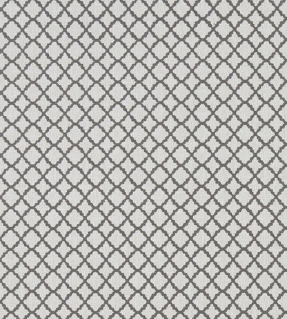 Ariyana Fabric by Clarke & Clarke Charcoal