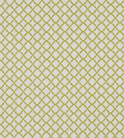 Ariyana Fabric by Clarke & Clarke Chartreuse