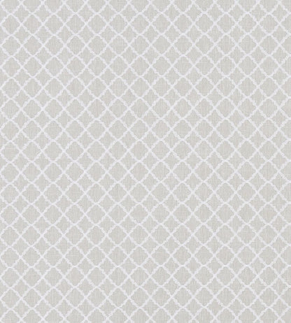 Ariyana Fabric by Clarke & Clarke Ivory