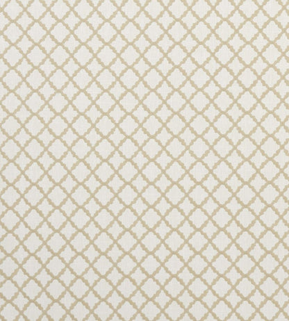Ariyana Fabric by Clarke & Clarke Natural