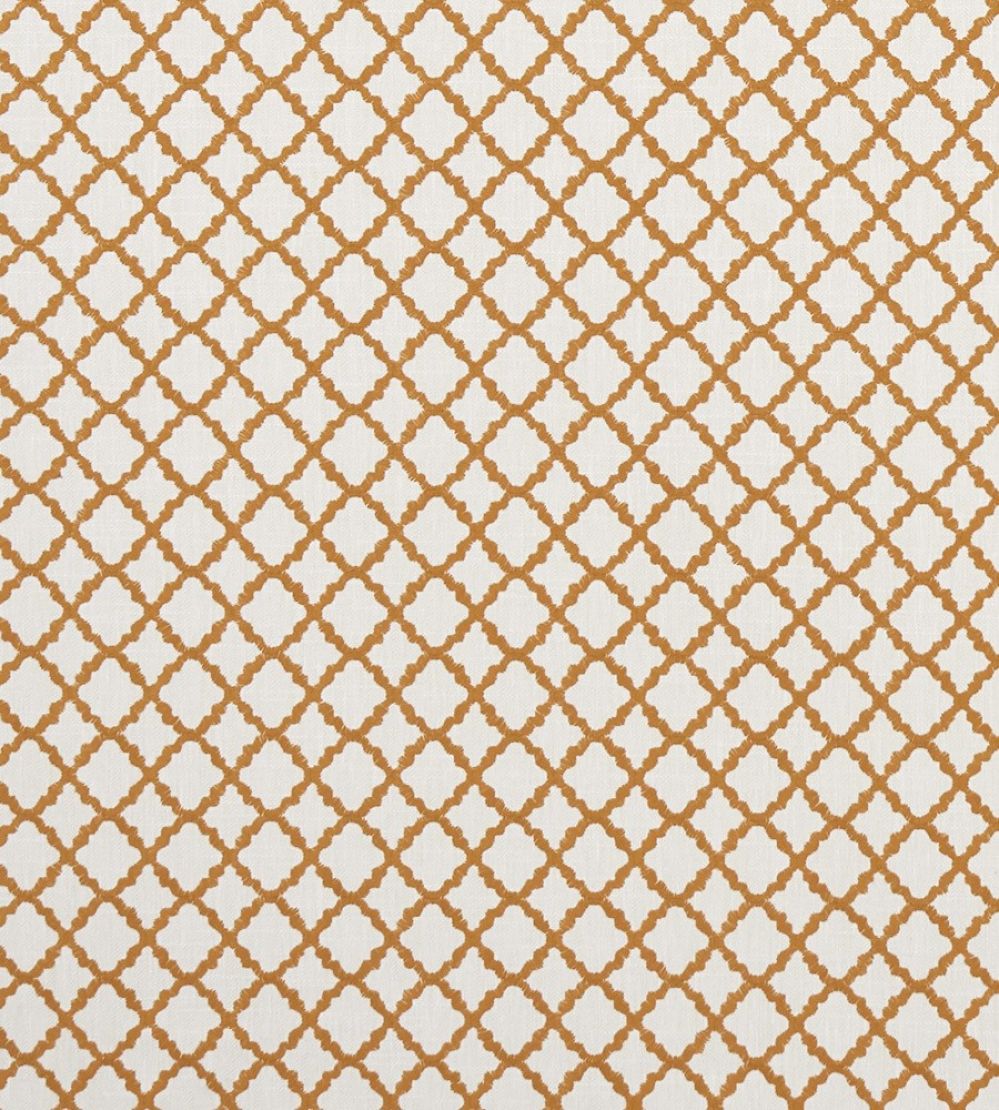 Ariyana Fabric by Clarke & Clarke Spice