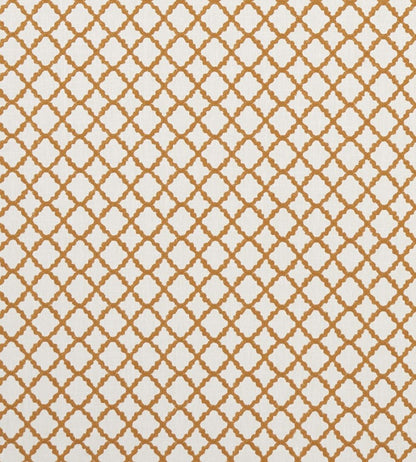 Ariyana Fabric by Clarke & Clarke Spice