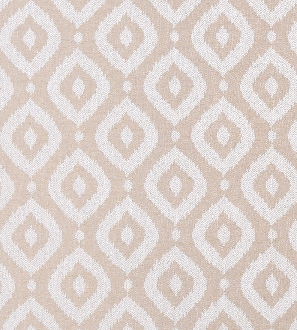 Soraya Fabric by Clarke & Clarke Blush