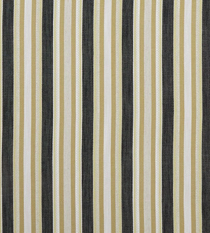Ziba Fabric by Clarke & Clarke Charcoal/Ochre