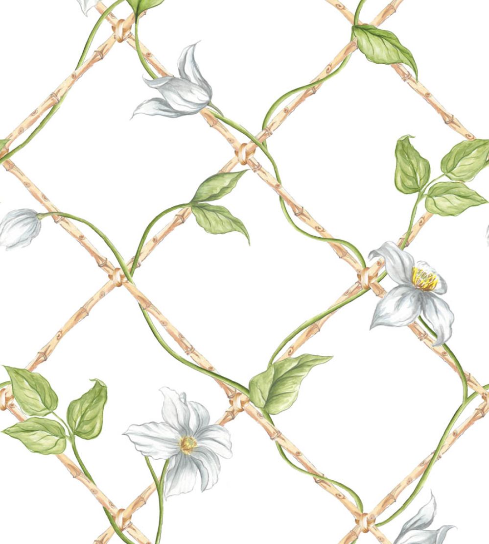 Clematis on Bamboo Trellis Wallpaper by Alice Crawley Green