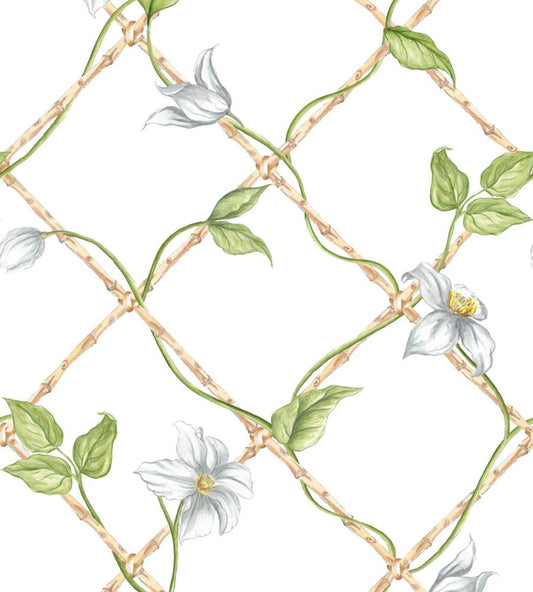 Clematis on Bamboo Trellis Wallpaper by Alice Crawley Green