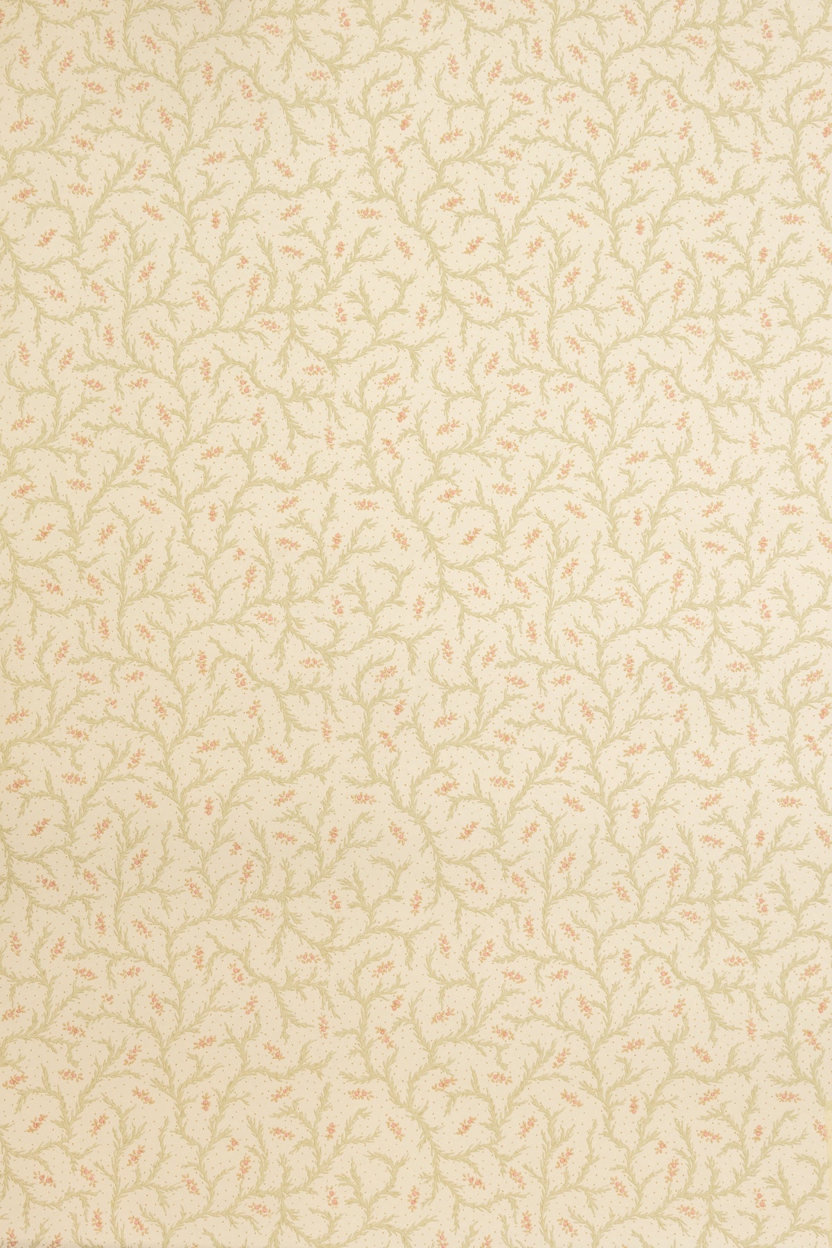 Clementine Wallpaper by Jean Monro in Blossom