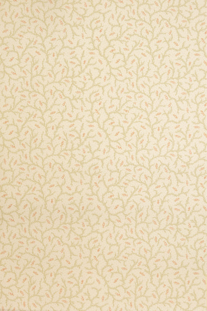Clementine Wallpaper by Jean Monro in Blossom