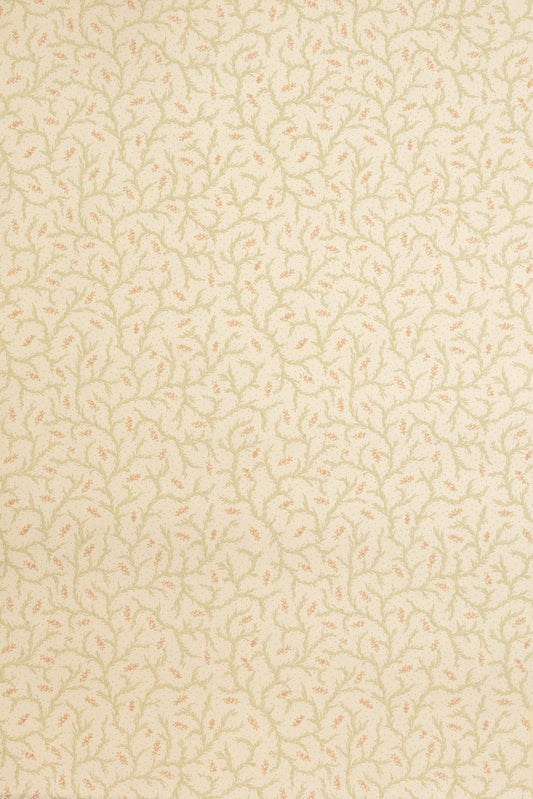 Clementine Wallpaper by Jean Monro in Blossom