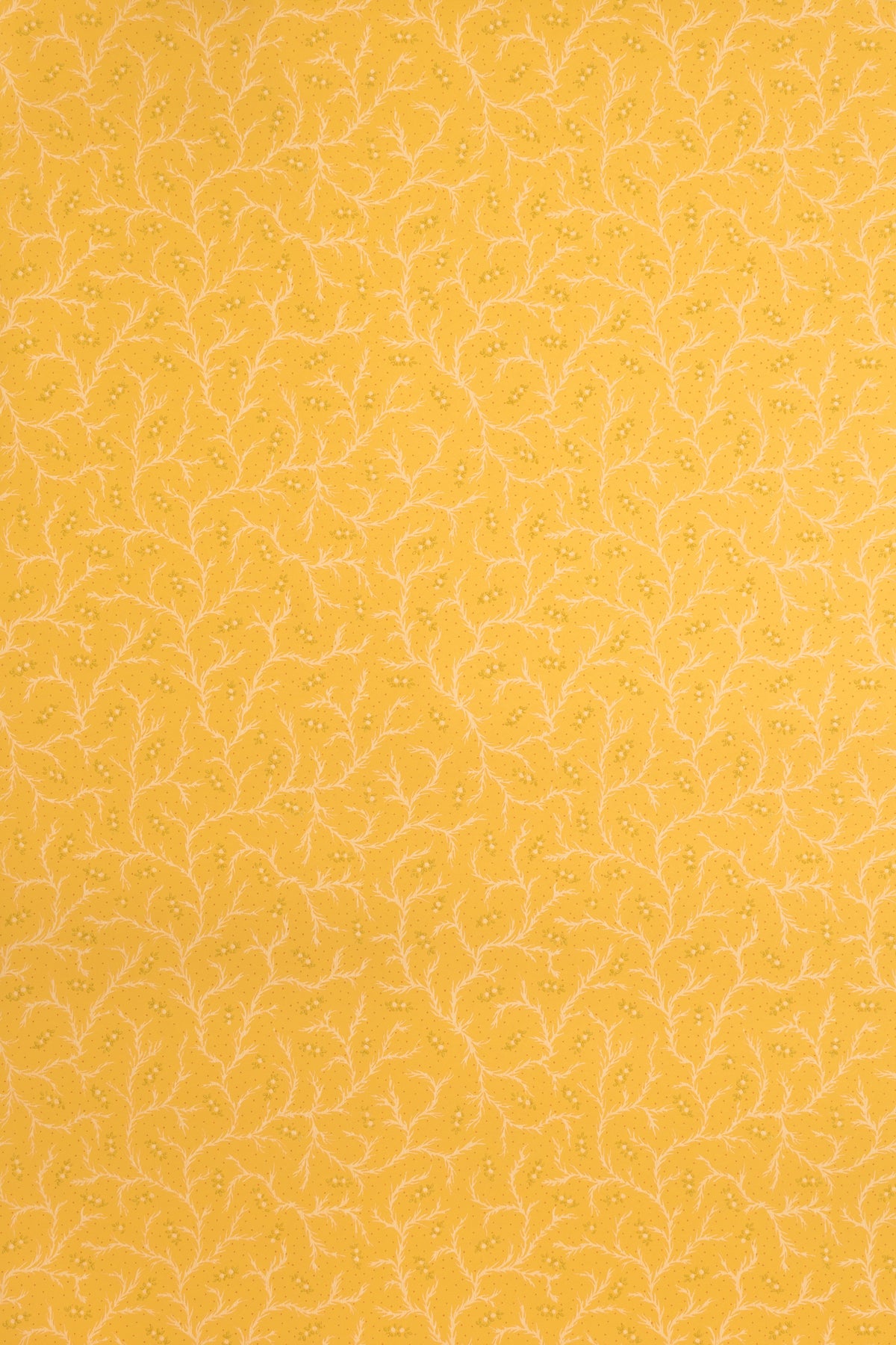 Clementine Wallpaper by Jean Monro in Dandelion
