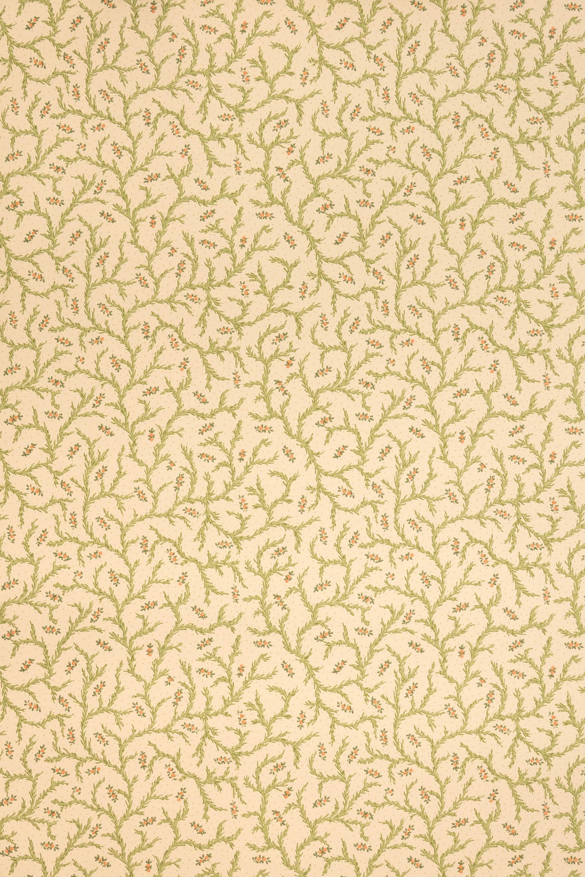 Clementine Wallpaper by Jean Monro in Document