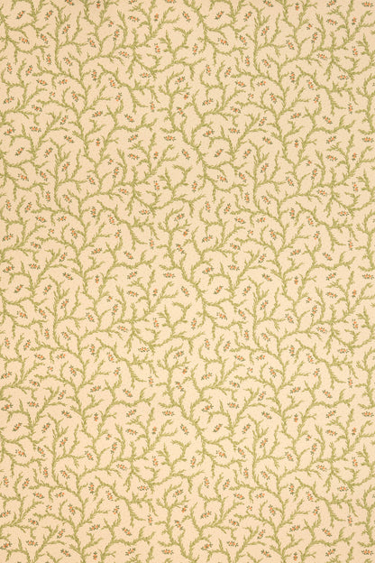 Clementine Wallpaper by Jean Monro in Document