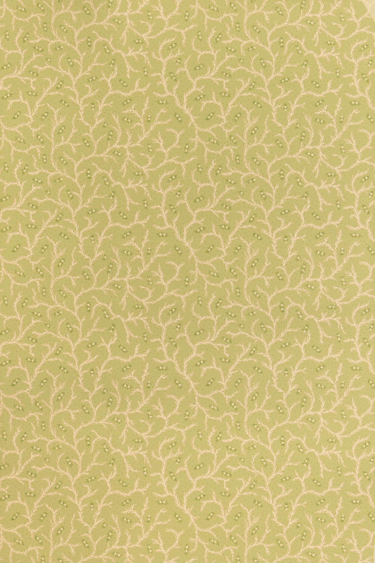 Clementine Wallpaper by Jean Monro in Meadow