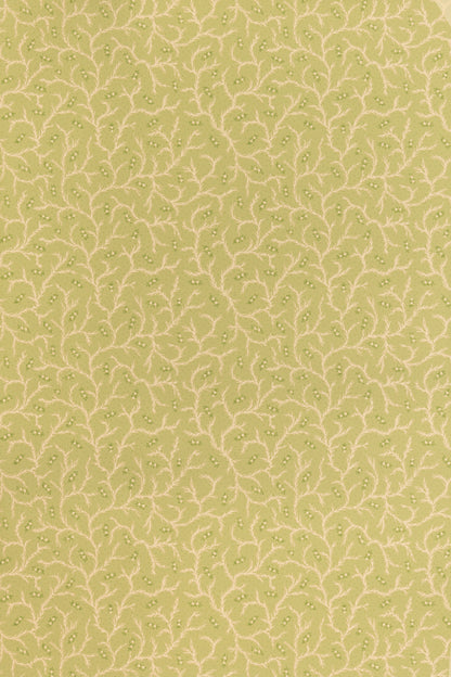 Clementine Wallpaper by Jean Monro in Meadow