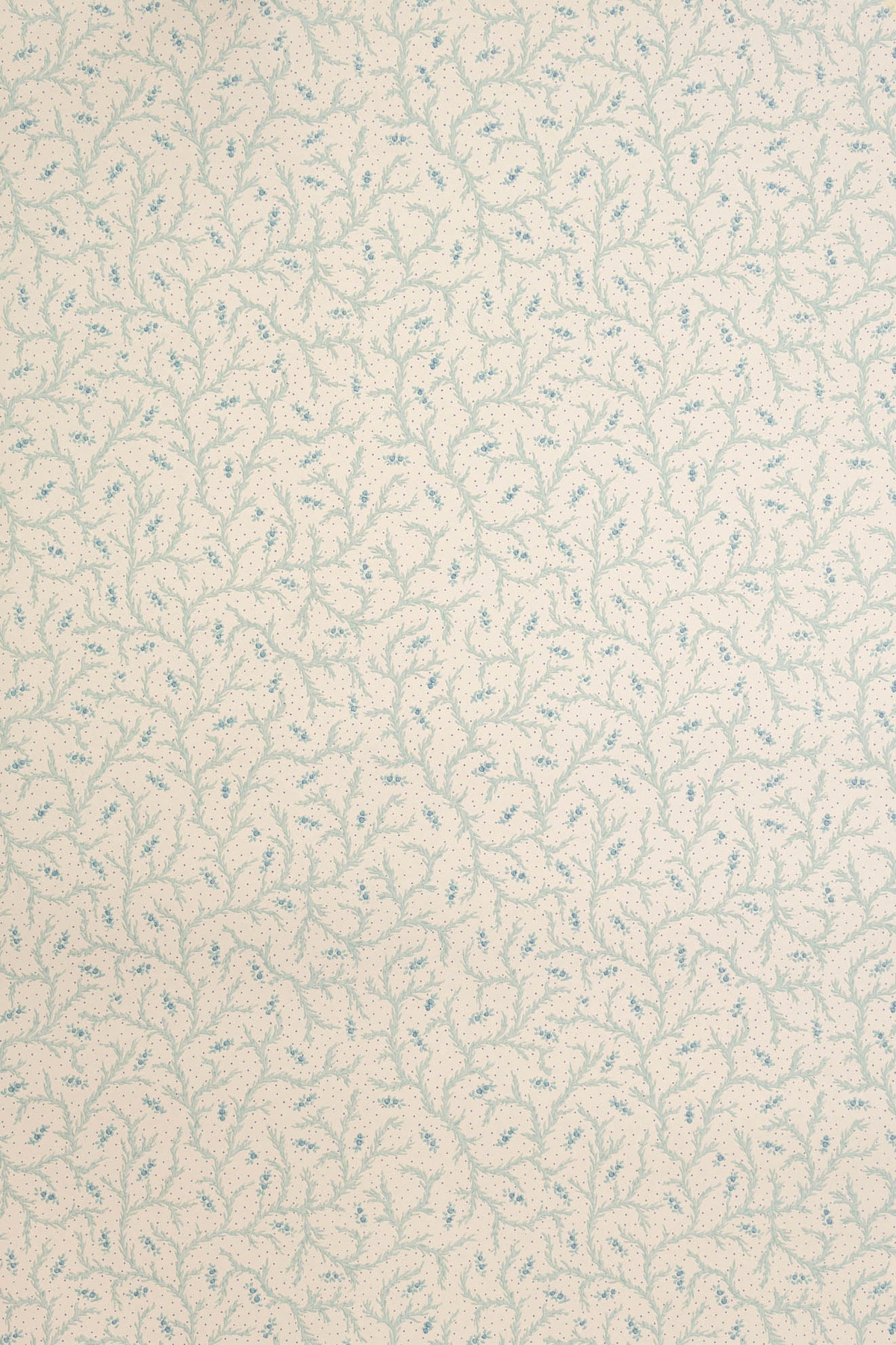 Clementine Wallpaper by Jean Monro in Sea Salt