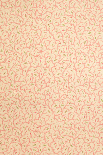Clementine Wallpaper by Jean Monro in Strawberry