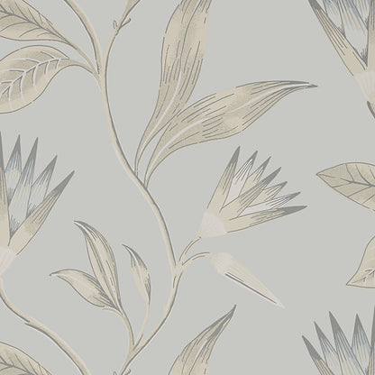 Cleo Vine Wallpaper by Anna French in Spa Blue on Grey (AT9619)