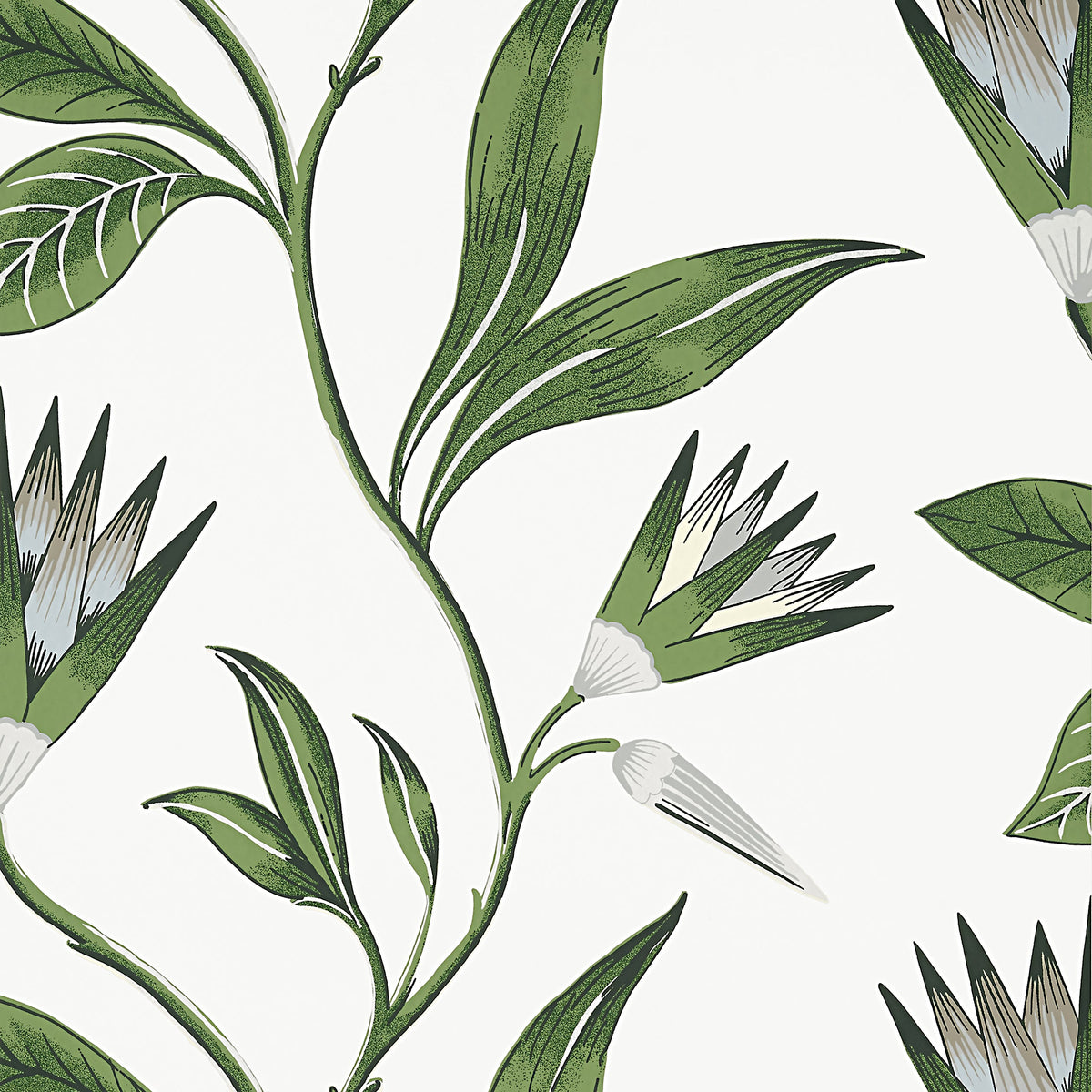 Cleo Vine Wallpaper by Anna French in Green & White (AT9622)