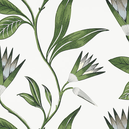 Cleo Vine Wallpaper by Anna French in Green & White (AT9622)