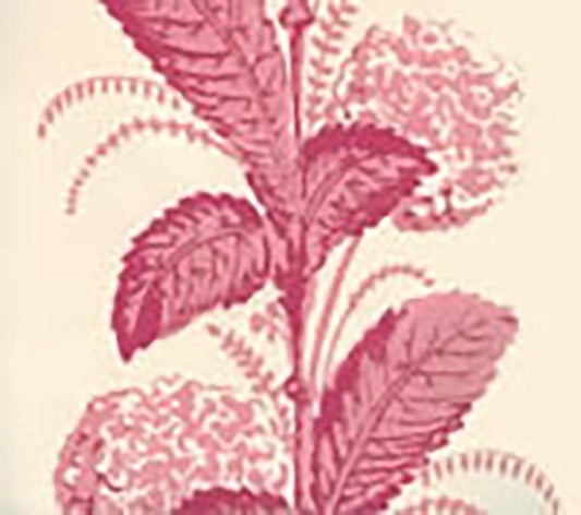 Climbing Hydrangea Pink wallpaper by Quadrille