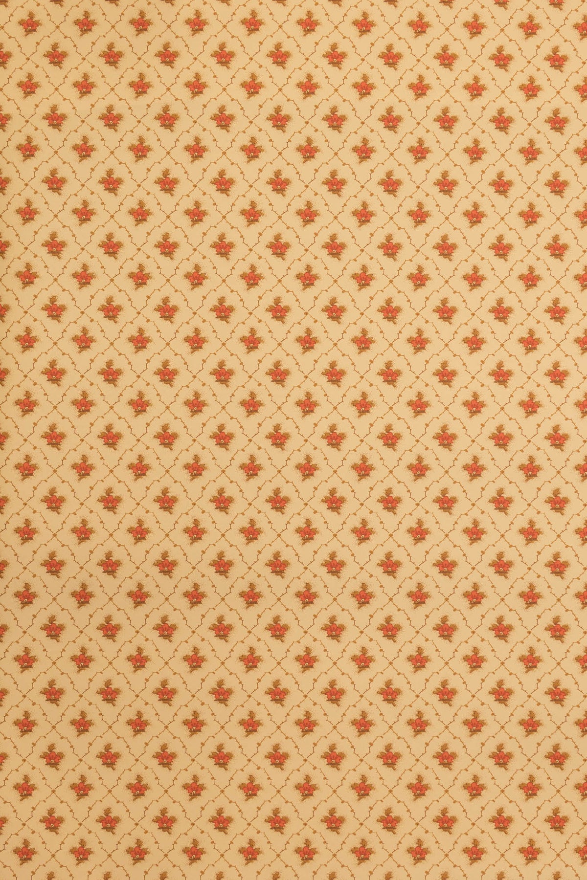 Clover Wallpaper by Jean Monro in Flowerpot