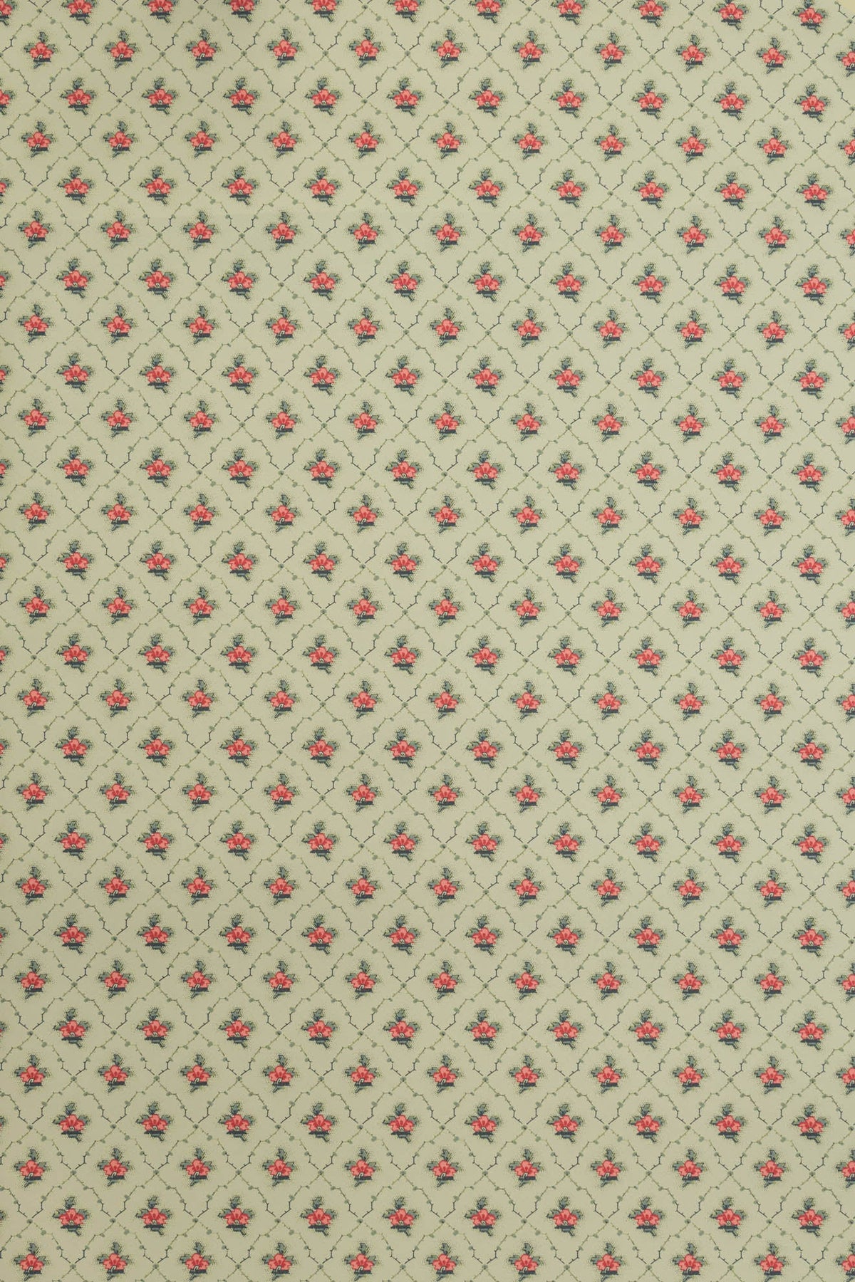 Clover Wallpaper by Jean Monro in Legbar