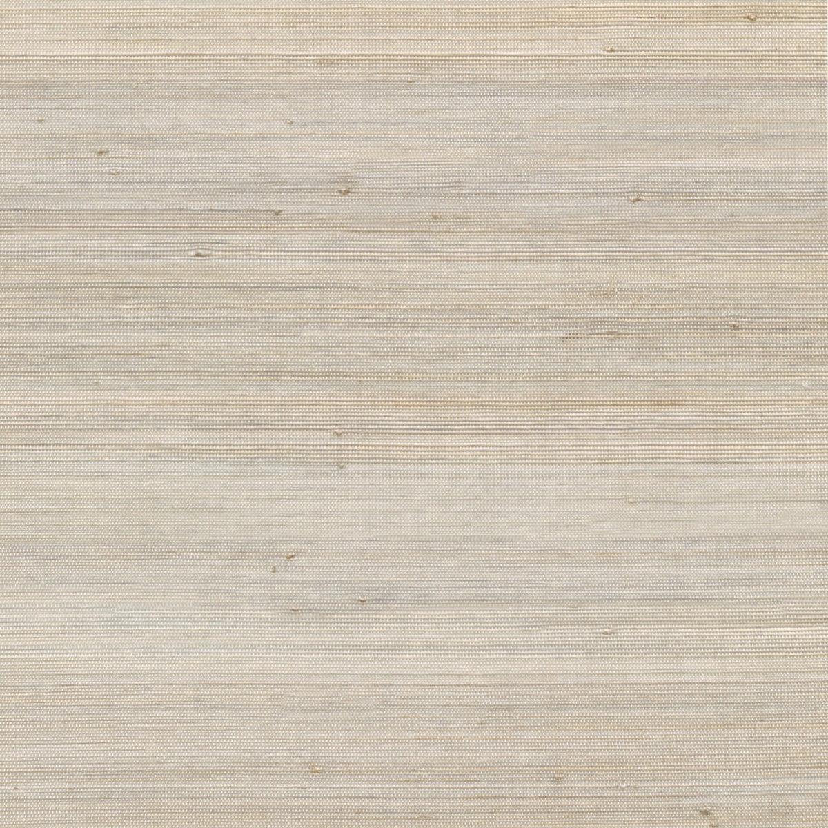Sparkling Fabric by CMO Paris in Silver (G18)