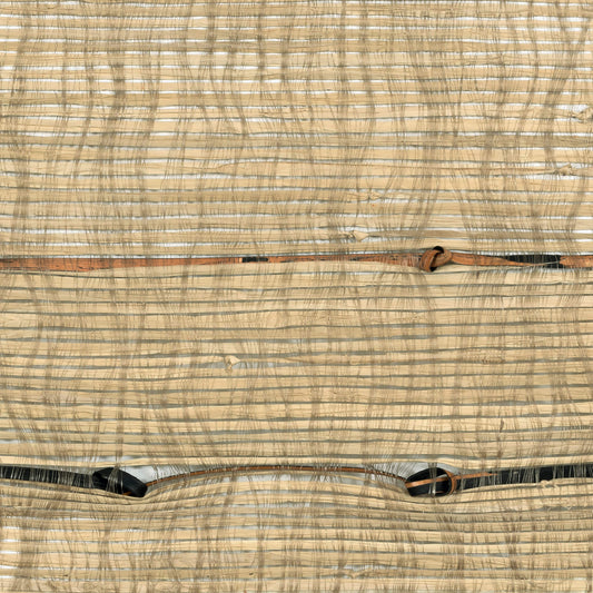 Raphia Rotin Fabric by CMO Paris in Sand