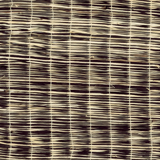Raphia Écaille Fabric by CMO Paris in Black