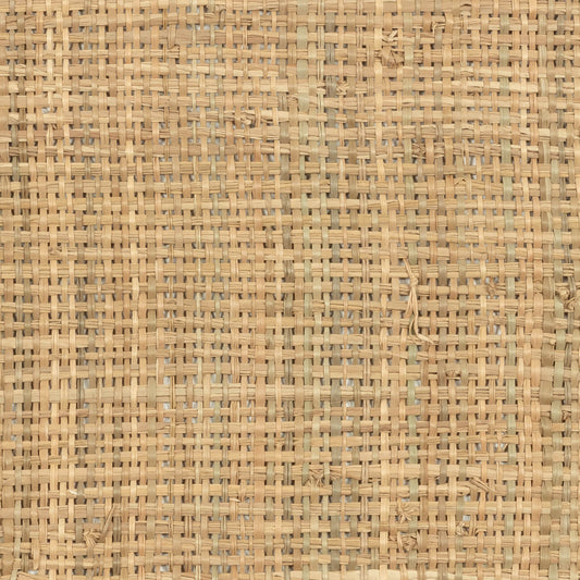 Raphia Naturel Fabric by CMO Paris in Raw Natural