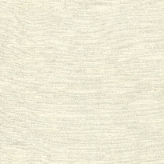 Soie Sauvage Fabric by CMO Paris in White