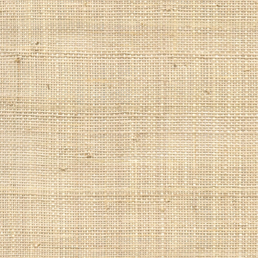 Raphia Fin Fabric by CMO Paris in Natural