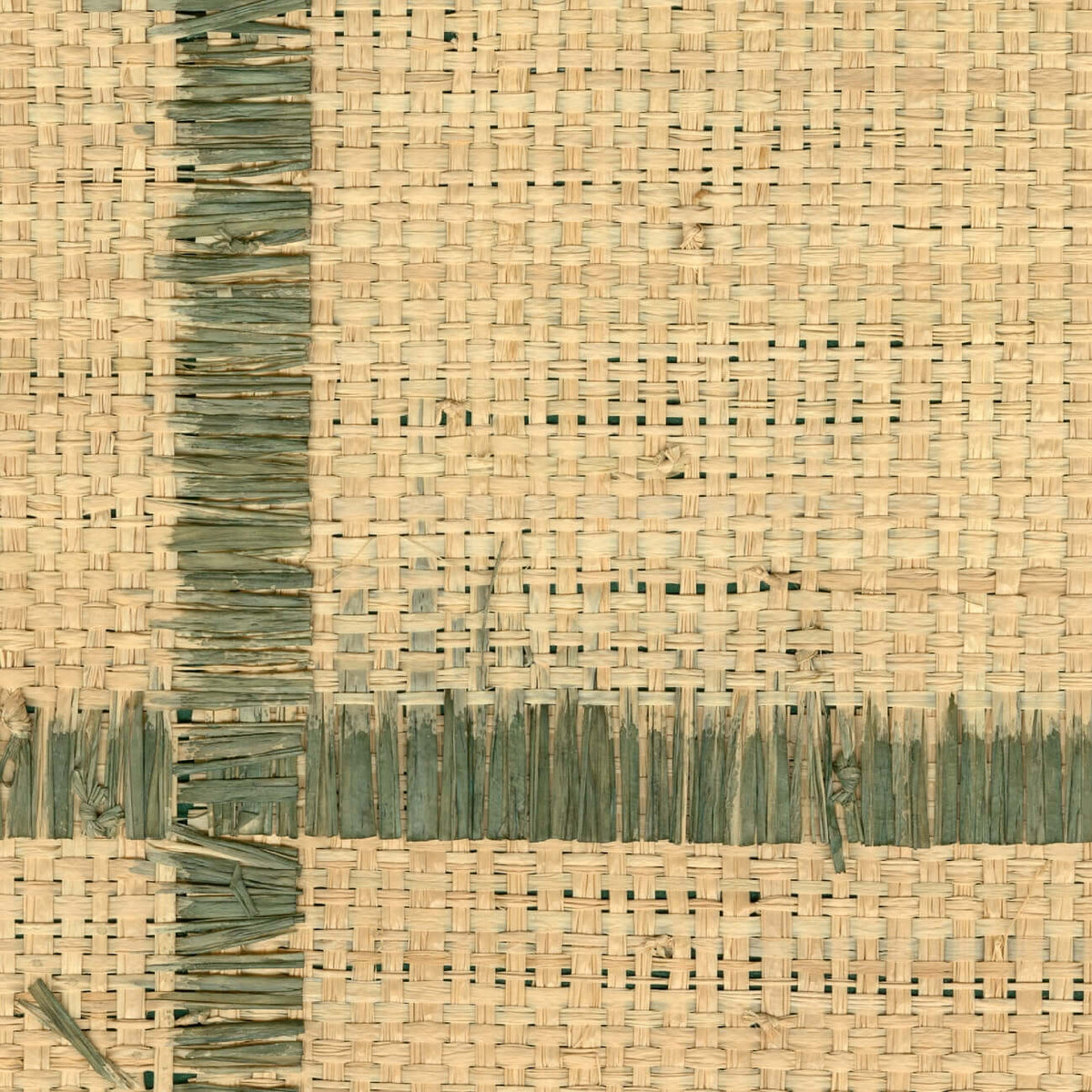 Raphia Cadre Wallpaper by CMO Paris in Spruce