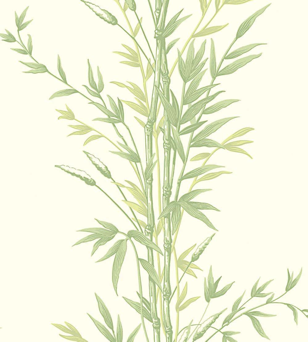 Bamboo Wallpaper by Cole & Son Olive Green