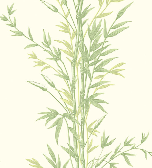 Bamboo Wallpaper by Cole & Son Olive Green