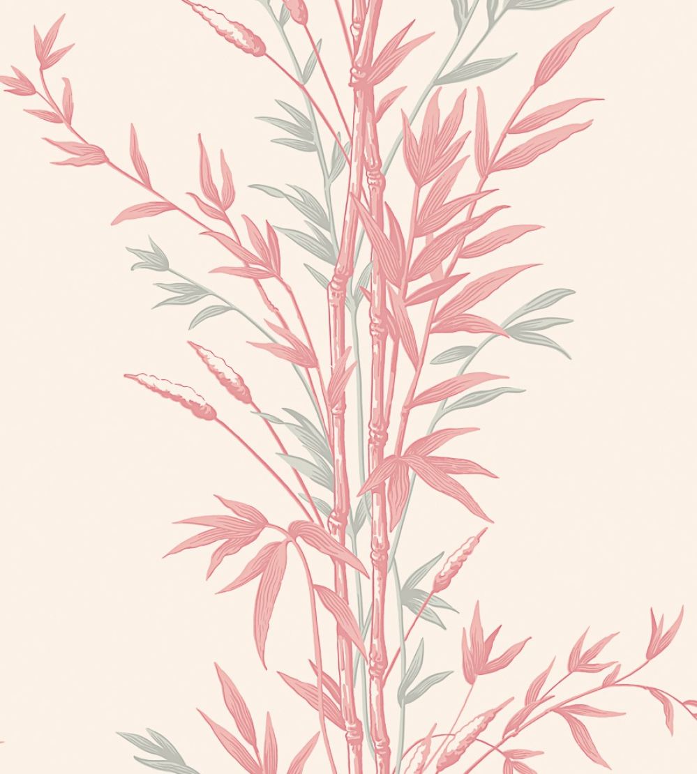 Bamboo Wallpaper by Cole & Son Rose