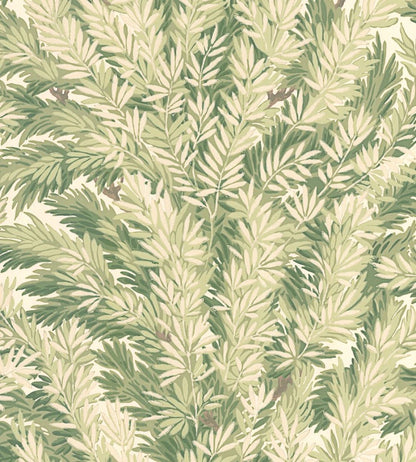 Florencecourt Wallpaper by Cole & Son Olive