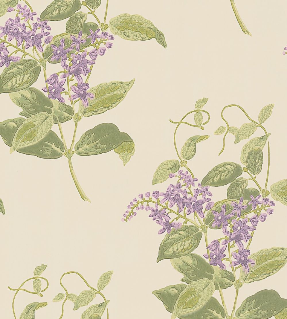 Madras Violet Wallpaper by Cole & Son Purple & Olive