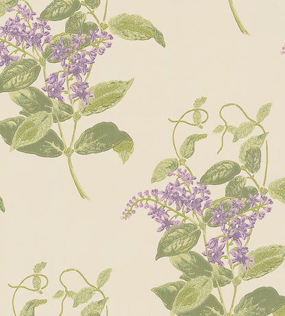 Madras Violet Wallpaper by Cole & Son Purple & Olive