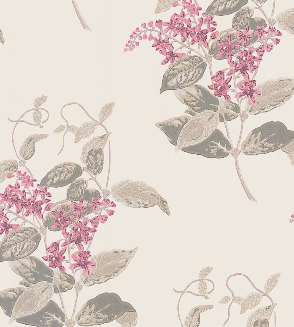 Madras Violet Wallpaper by Cole & Son Fuchsia & Linen