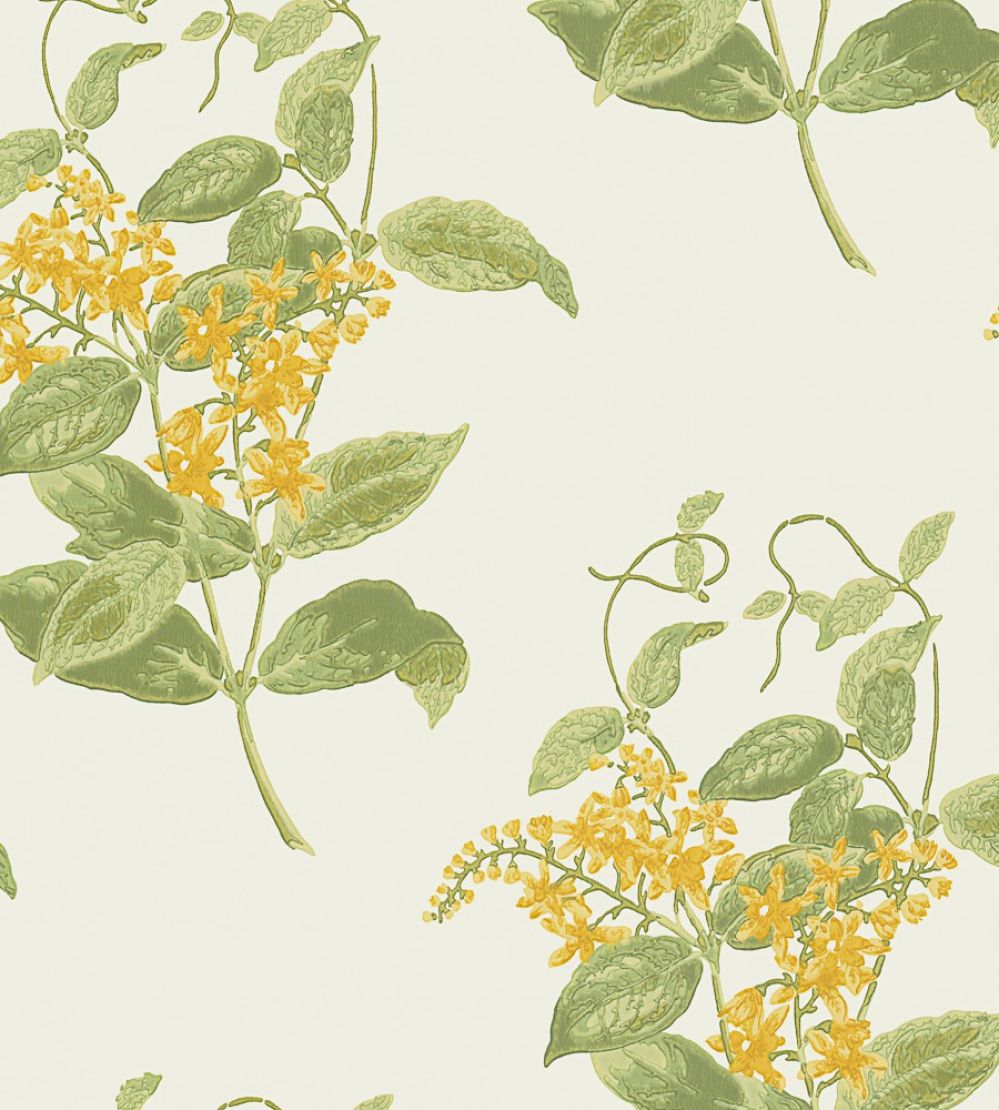 Madras Violet Wallpaper by Cole & Son Yellow