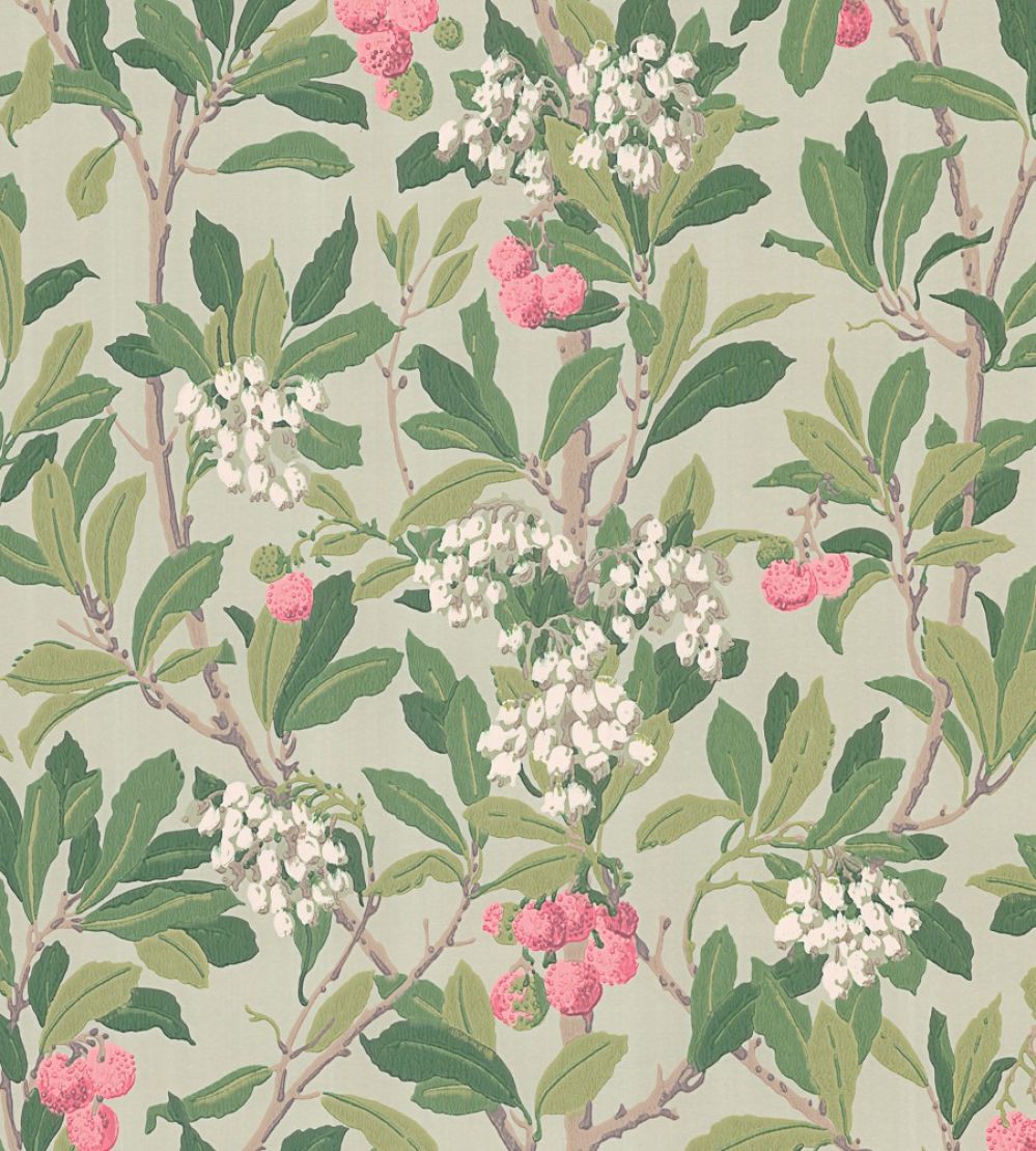 Strawberry Tree Wallpaper by Cole & Son Chalk, Rose & Forest Green