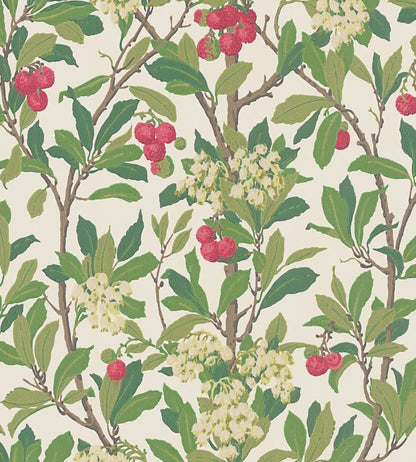 Strawberry Tree Wallpaper by Cole & Son Olive, Red & Leaf Green