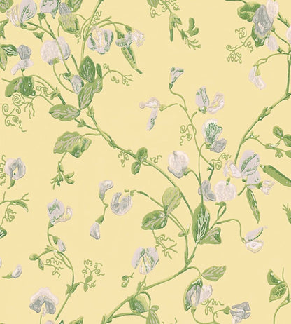Sweet Pea Wallpaper by Cole & Son Grey & Lime