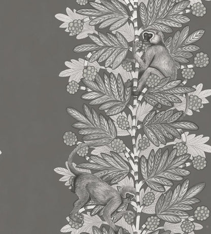 Acacia Wallpaper by Cole & Son 11055