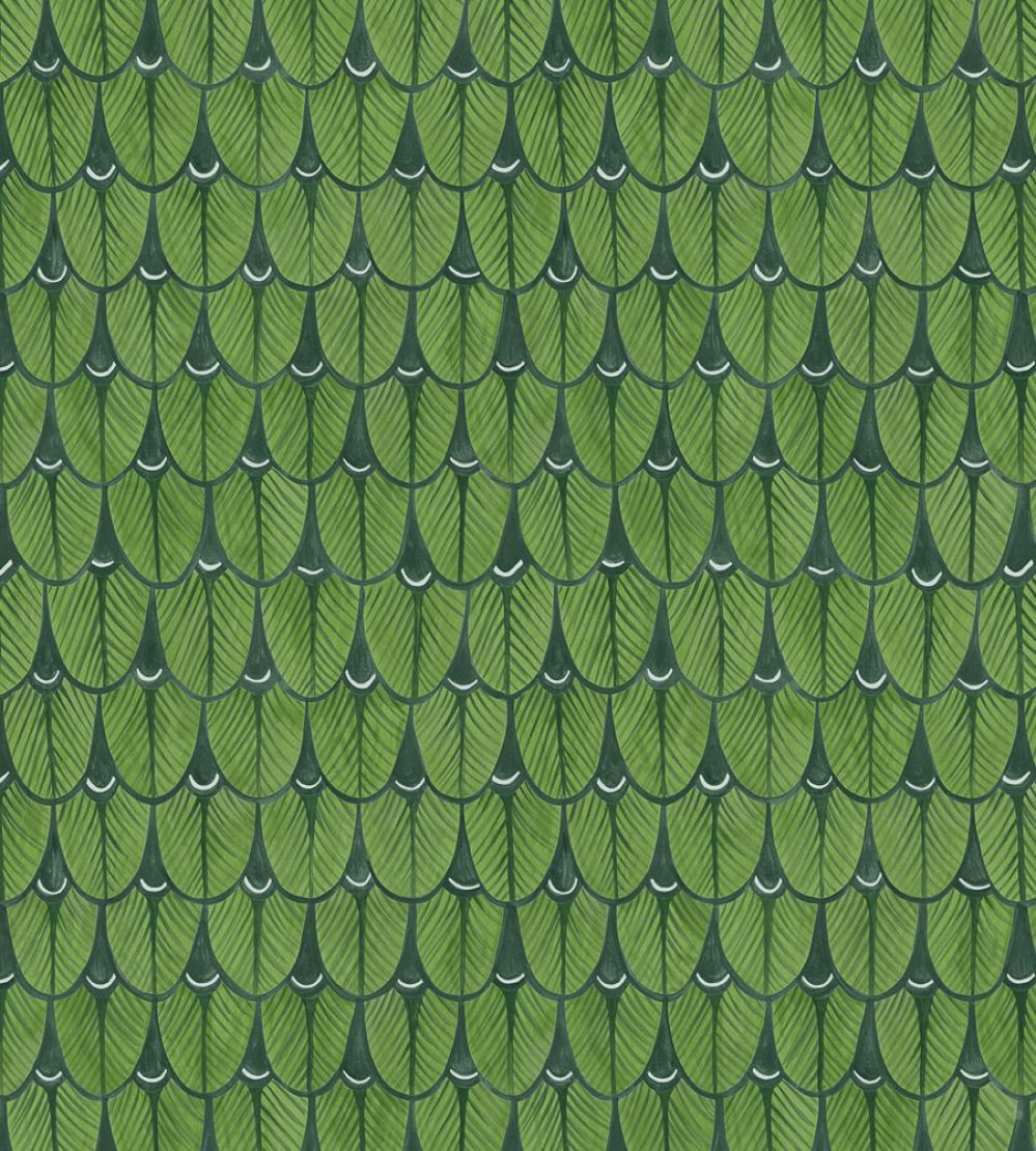 Narina Wallpaper by Cole & Son 10045