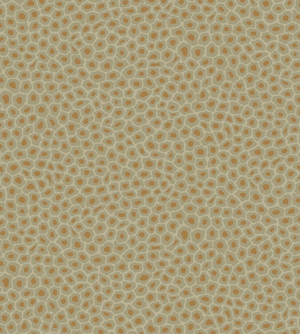 Senzo Spot Wallpaper by Cole & Son 6029