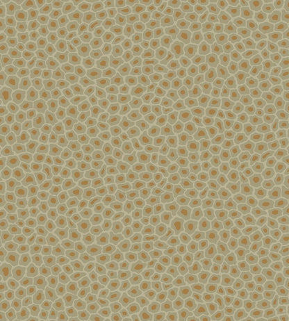 Senzo Spot Wallpaper by Cole & Son 6029