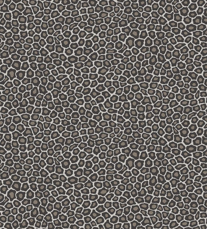 Senzo Spot Wallpaper by Cole & Son 6031