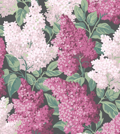 Lilac Wallpaper by Cole & Son Magenta & Blush on Charcoal